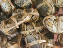 “螃蟹主播”是什么样的？蔬菜种植专业户又是怎么直播的？一起看过来